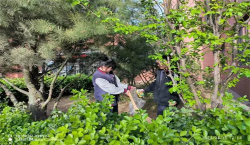 齐心协力净校园 文明于心践于行——迁安职教中心信息工程系组织全体学生开展卫生区大扫除活动